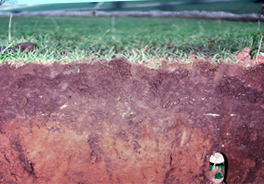 soil-supply.jpg